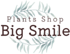 Plants Shop Big Smile
