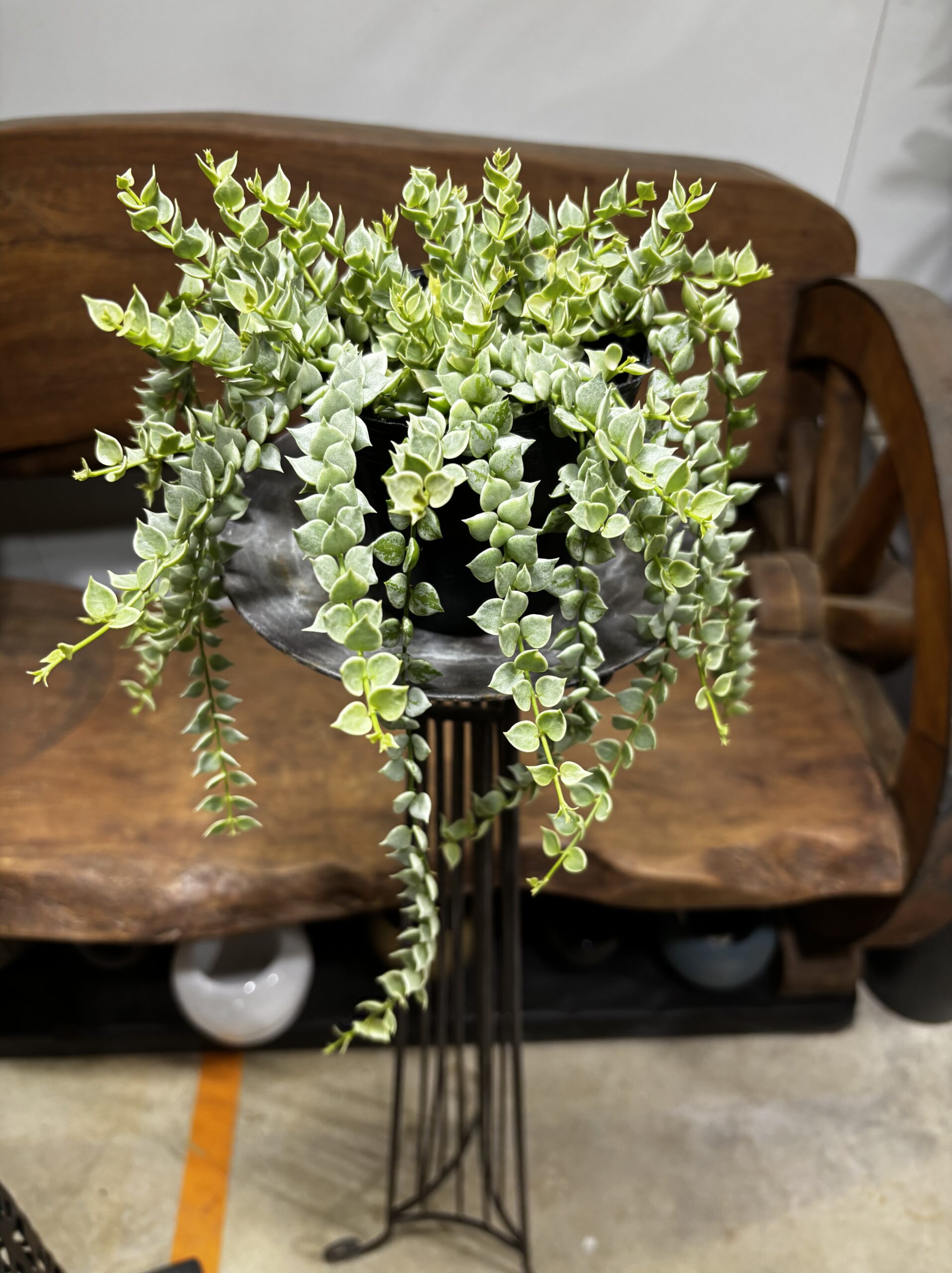 ディスキディア・ミリオンハート - 画像 (2)