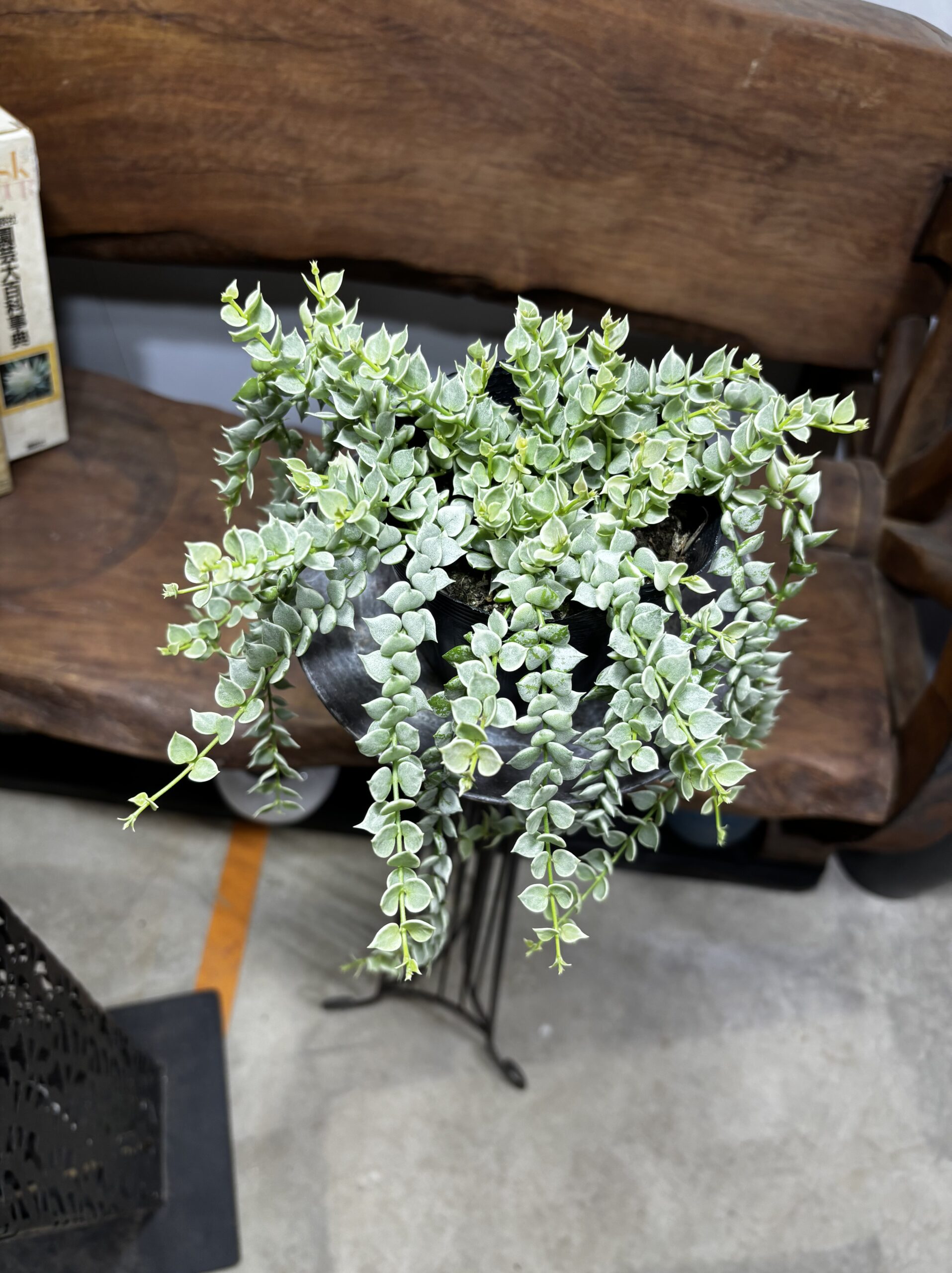 ディスキディア・ミリオンハート