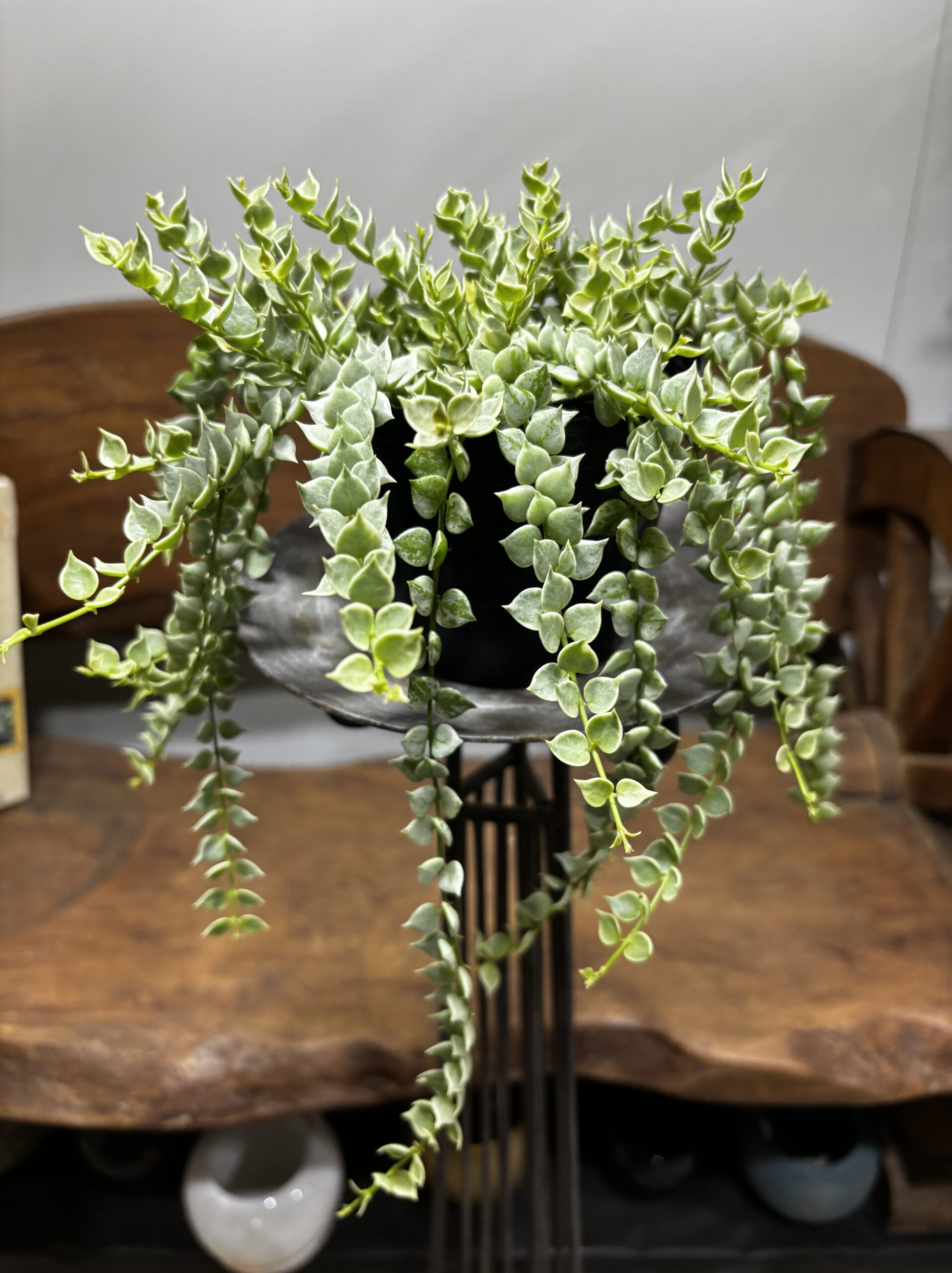 ディスキディア・ミリオンハート - 画像 (4)