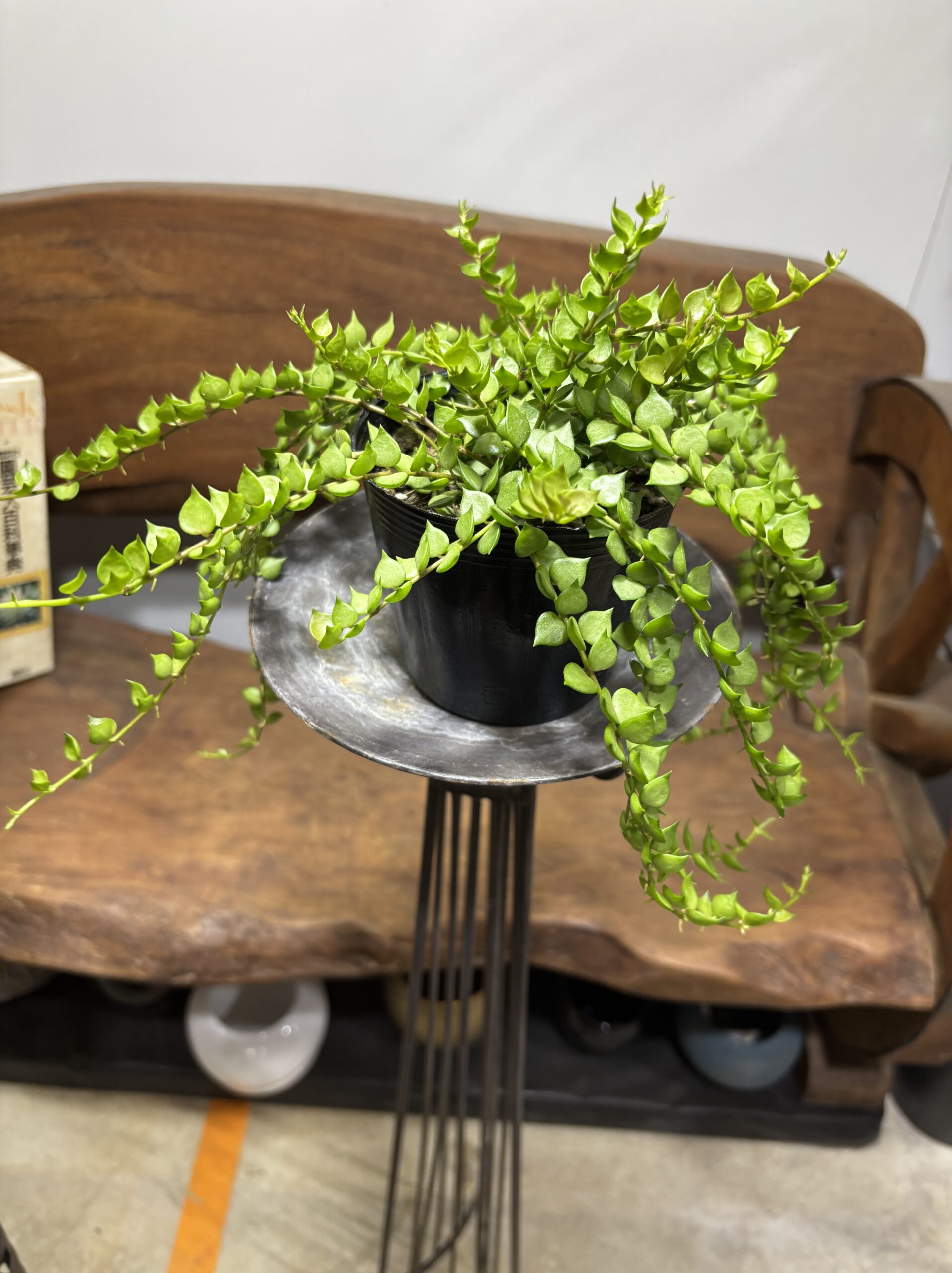 ディスキディア・ミリオンハート - 画像 (6)